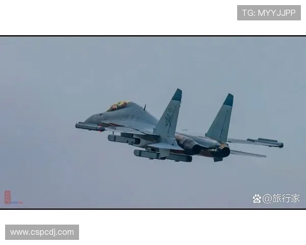 战斗机在复杂电磁环境下的突防能力