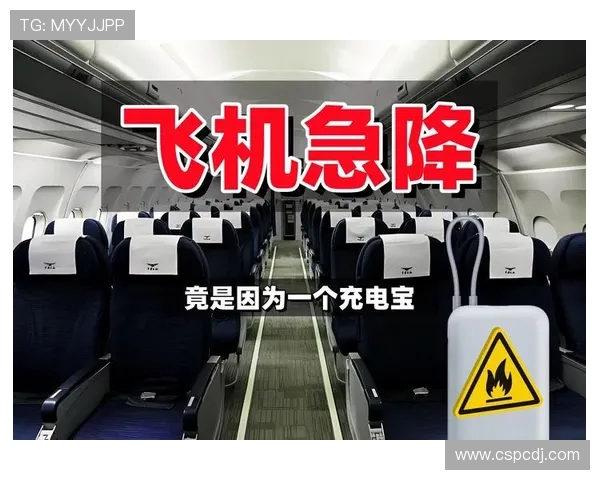 飞机客舱洗手间烟雾告警的延迟处理