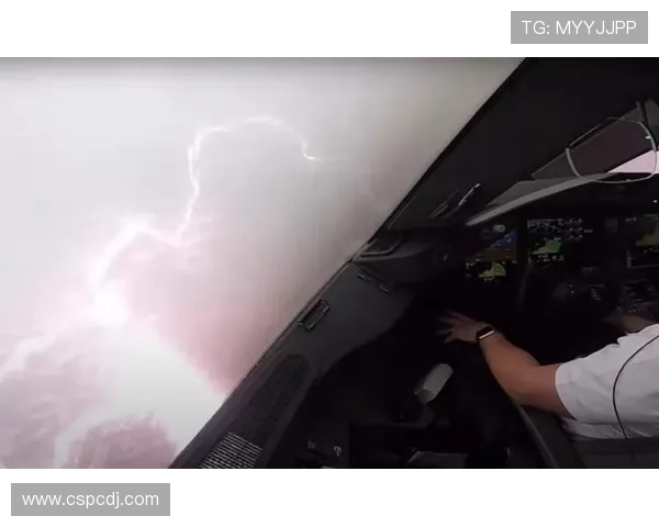 飞机机身结构的抗雷击损伤模拟